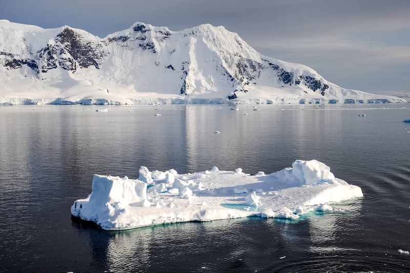 Iceberg Encounters